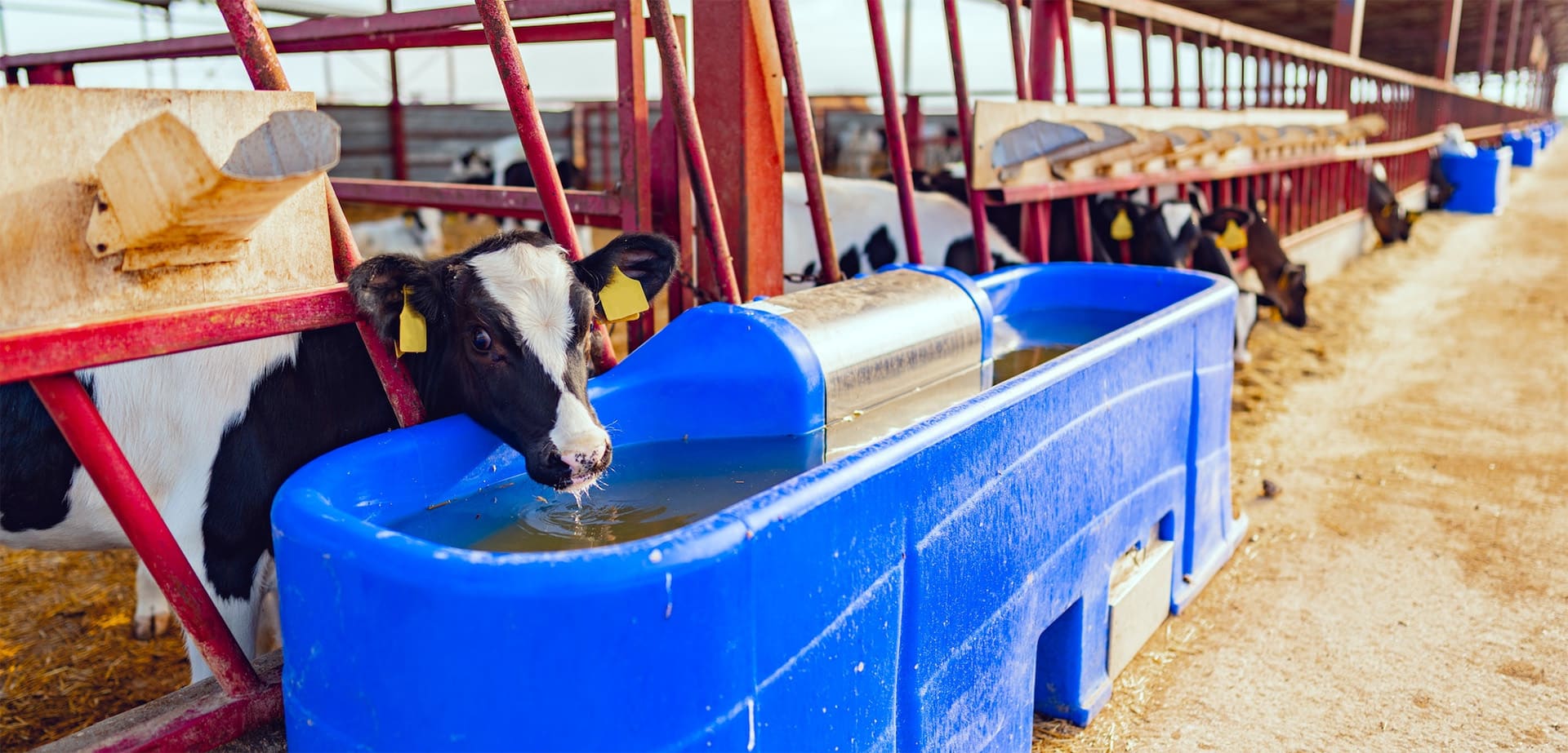 Cattle-feeding equipment Financing