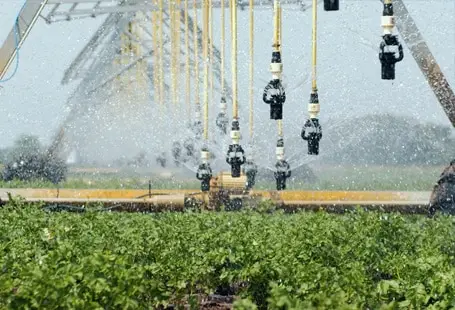 Center pivot irrigation system watering crops