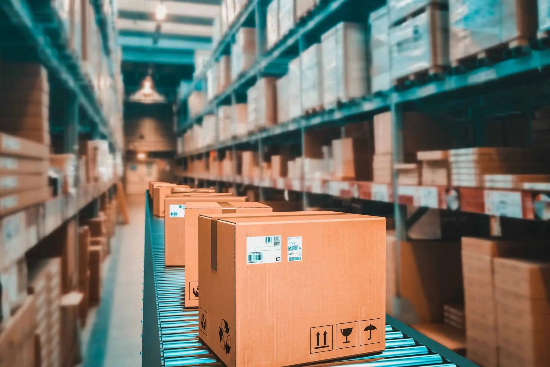 Public-Company Logistics Operator Uses $7 Million Tax Lease For Specialized Warehousing Equipment