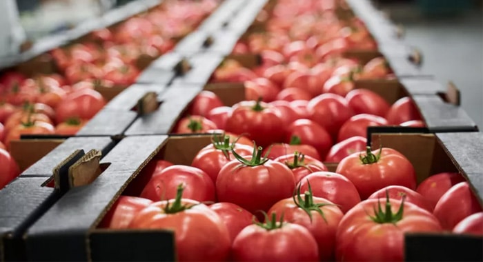 Food packaging equipments