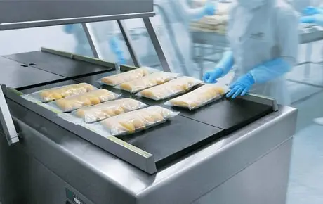 Vacuum Packaging Machines