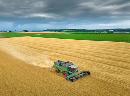 Large green combine harvester kicking up dust as it harvests a vast golden grain field under a stormy sky.