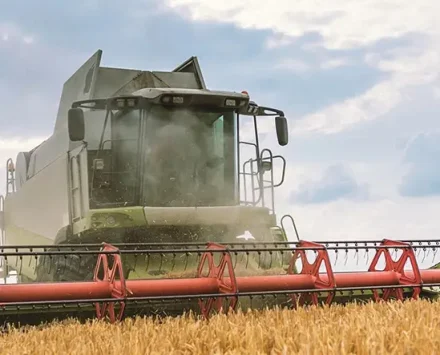 Modern agricultural field equipment, a combine harvester, working in a wheat field, representing a major capital investment for a farming operation.